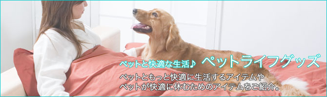 wA_X^[t@ubN