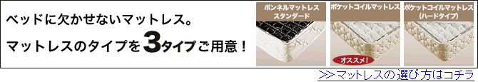 }bgX̑Iѕ