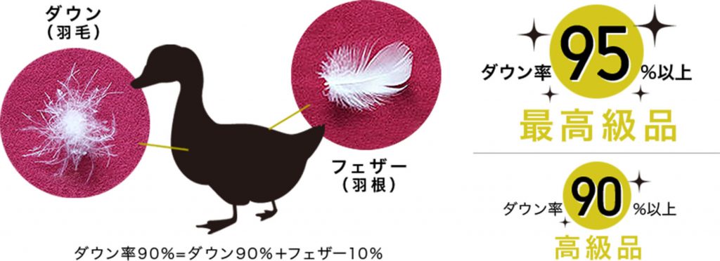 羽毛布団のおすすめを紹介 羽毛布団の選び方 寝具の手入れ方法を詳しく解説 Venusbed Library