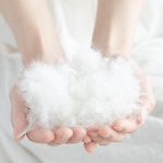 羽根の入ったフェザー枕は枕が低くなったと感じたら買い替えを検討すしましょう