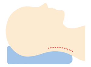 タオル枕とは 肩こりや首の不調を改善するには枕の高さに注目しよう Venusbed Library