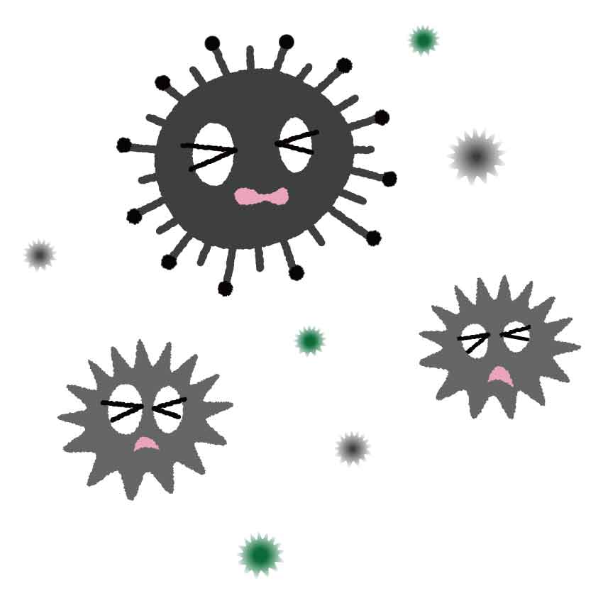 枕に付着した汗や皮脂、フケなどを分解した物質、常在菌の死がいなどが臭いの原因になります。