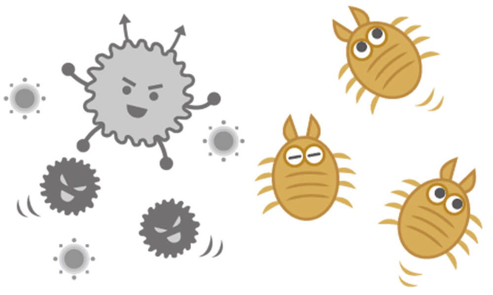 パジャマを洗わないでいると、どんどん繁殖して皮膚トラブルが発生する可能性があります。