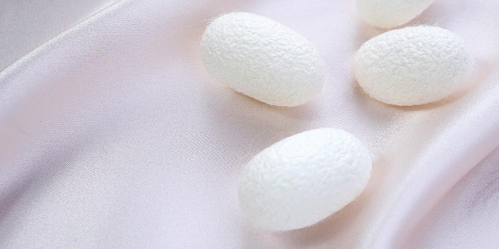真綿は蚕の繭をシート状に引き伸ばして作られたもので、絹（シルク）の原料にもなります。