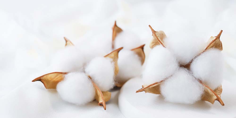 天然素材の中でも、繊維が短いものが多いのが綿の特徴です。