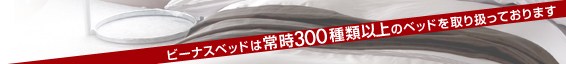 ӡʥ٥åɤϾ300